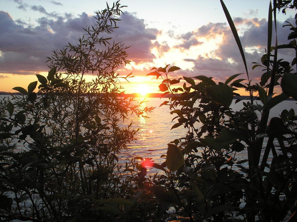 Golden Beach Resort Roseneath Bagian luar foto